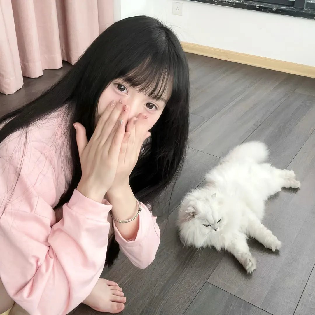 奇奇与蒂蒂：救援突击队